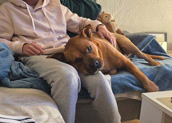 Estelle avec ses animaux